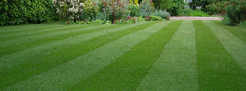 About Us – The Lawn Turf Laying Company | Quality Lawn Experts